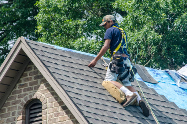 Best Residential Roof Replacement  in Nooksack, WA